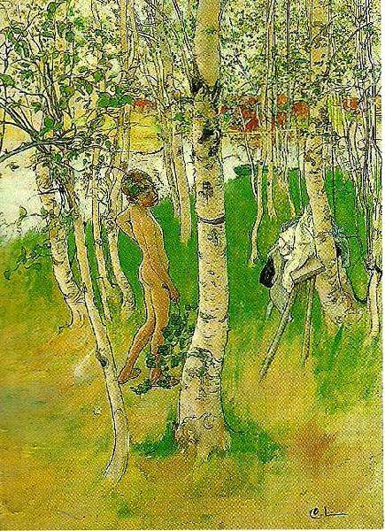 ulf en naken pojke mellan bjorkstammar-ulf badar pa bullerholmen, Carl Larsson